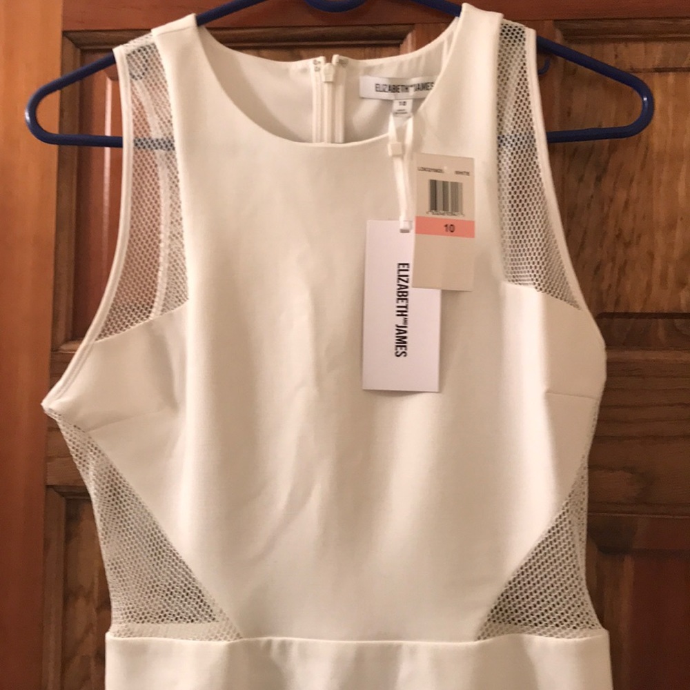 Elizabeth and James White Mesh Dress